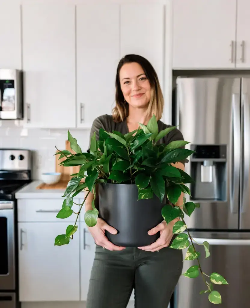 how to decor a living room with black pots? 11 Best Ideas 6 Ceramic Plant Flower Pot / how to decor a living room with black pots ?