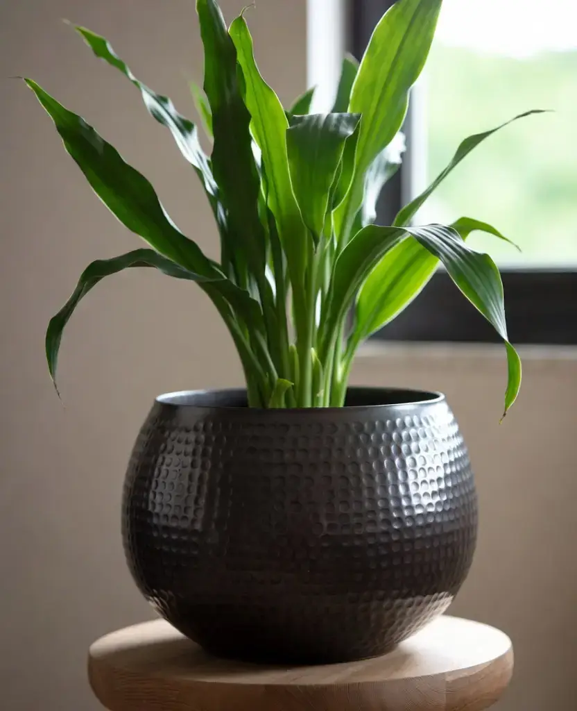 how to decor a living room with black pots? 11 Best Ideas 10 Honeycomb pattern pots 1