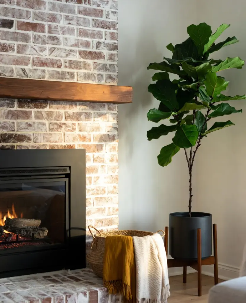 how to decor a living room with black pots? 11 Best Ideas 4 decor with Mid Century flowers pots / how to decor a living room with black pots ?