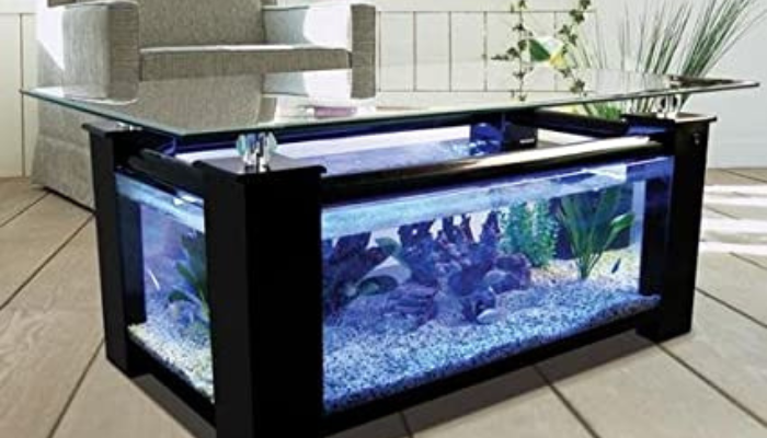 Best Coffee Table with Top of Glass / Aquarium Coffee Table With Top Of Glass