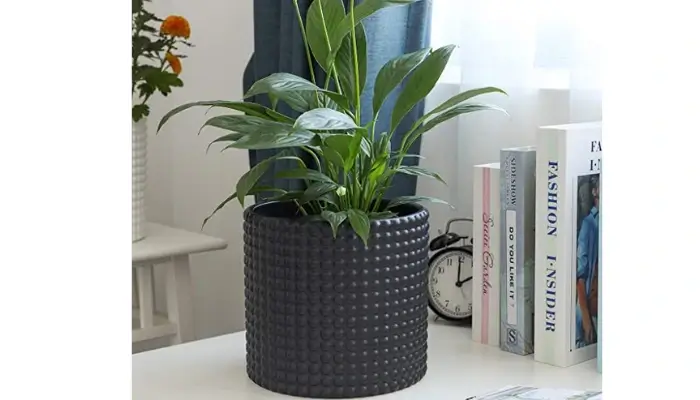 Decor with Hobnail Textured Flower Pot / how to decor a living room with black pots ?