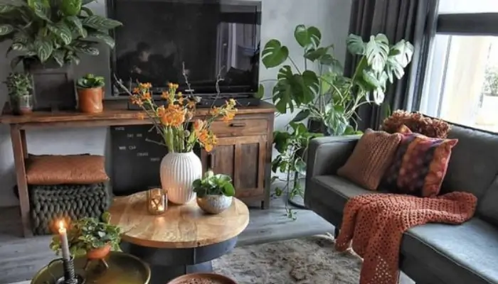 decor with Monstera plant / how to decor a living room with plants ?