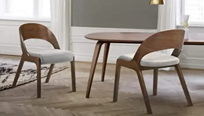 Polly Mid-Century Modern Dining Accent Chairs / how to Choose a mid century modern dining chairs? 