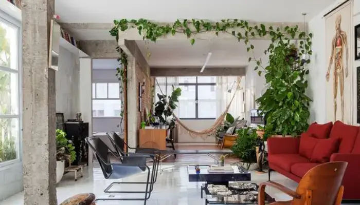 decor at the empty corner / how to decor a home with indoor vine ?