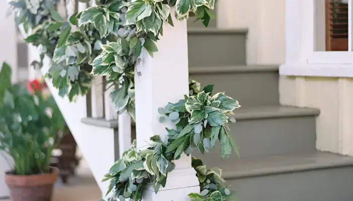 decor on the rails / how to decor a home with indoor vine ?