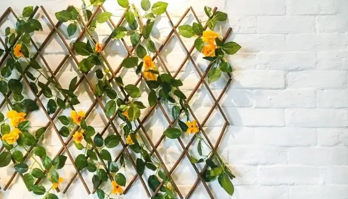 decor with Flowering Vines / how to decor a home with indoor vine ?