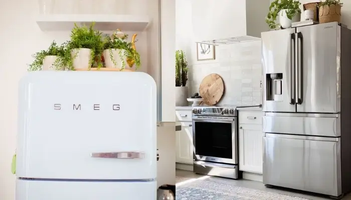 1. decor with plants above the refrigerator / how to decor Awkward space above the Refrigerator?