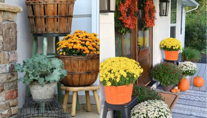 10. decor with Jumbo-Sized Planters / how to decor Front Porches With Fall Flowers?