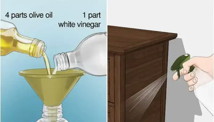 Termite Control Using White Vinegar / how to get rid of termites?