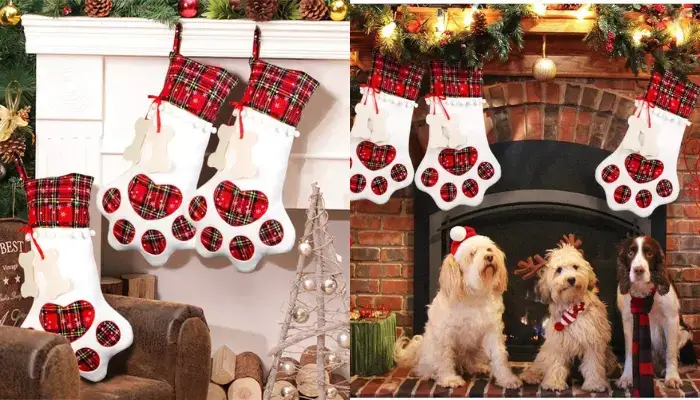 Pet Dog Christmas Stocking / Best Christmas stockings