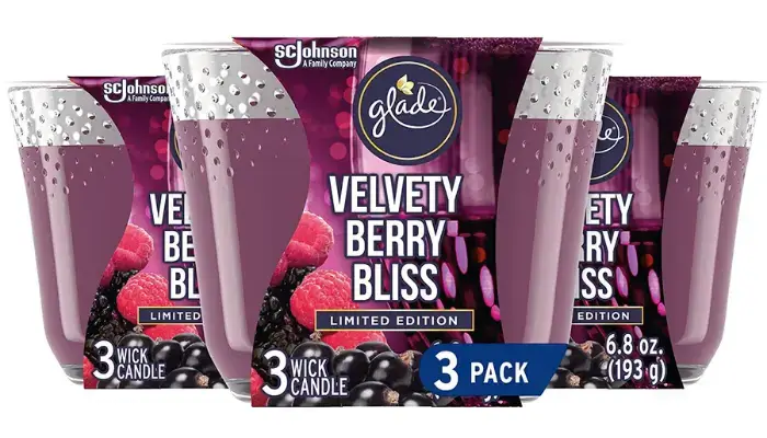 Velvety Berry Bliss Fragrance christmas Candle / which are the best christmas candles?