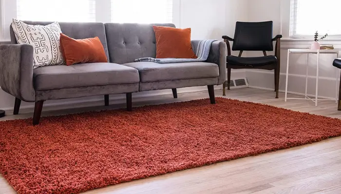 Solo Solid Shag Area Rug / Best Rugs for every room