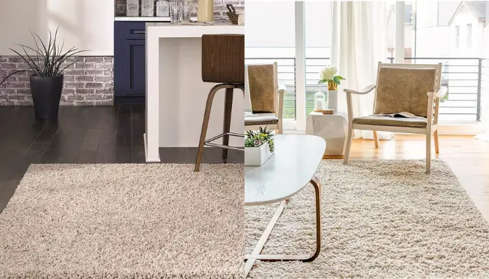 Modern Plush Rug / Best Rugs for every room 