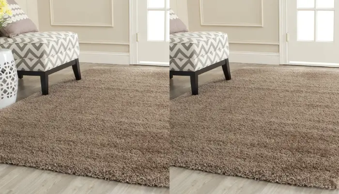 Non-Shedding Accent Rug / Best Rugs for every room 