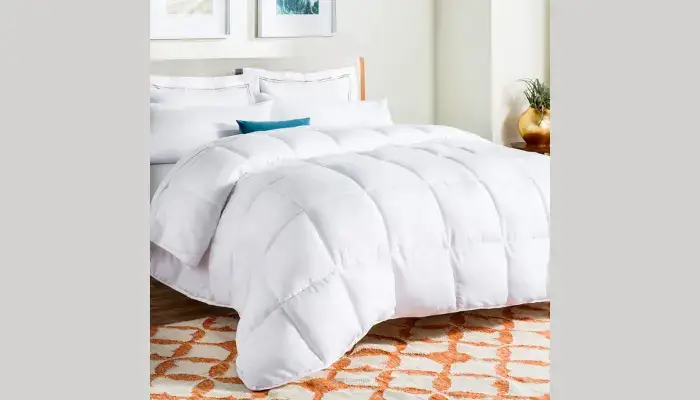 Queen White All-Season Down Comforters / Best All-Season Down Comforters