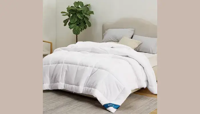 California King Comforter / All-Season Down Comforters