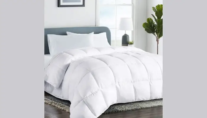 Soft Luxury Comforter / All-Season Down Comforters