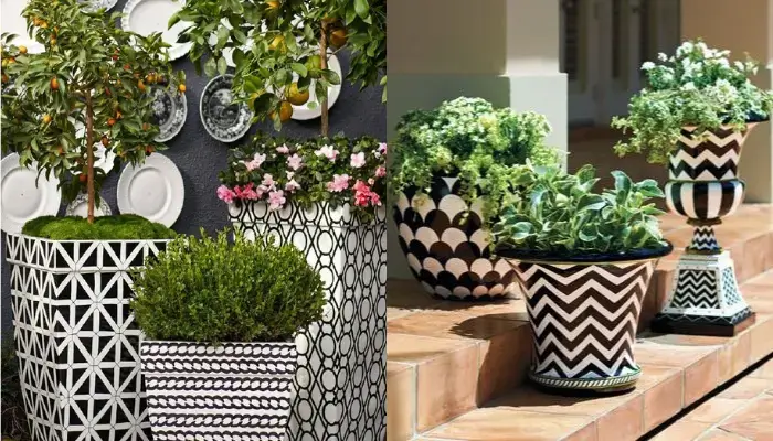 Black and White / Best Color Combinations for Flower Pots