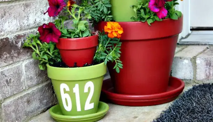 Red and Green / Best Color Combinations for Flower Pots