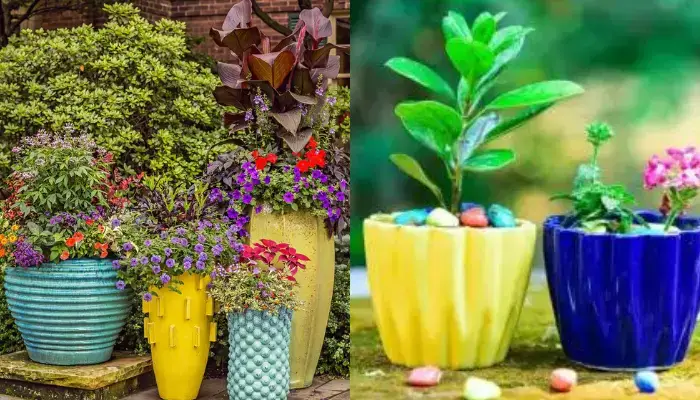 Blue and Yellow / Best Color Combinations for Flower Pots