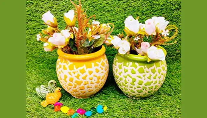 Yellow and Green / Best Color Combinations for Flower Pots