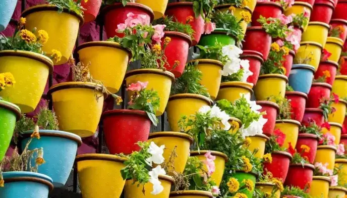  Red and Yellow / Best Color Combinations for Flower Pots