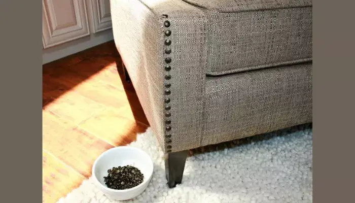 Add Nailhead Trim / best ways to give your sofa new life 