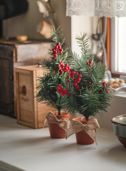 A photo of a rustic kitchen countertop with a pair of small potted pine trees. The pine trees are decorated with red berries and tied with burlap ribbons. There are also a few additional items on the countertop, including a wooden box and a ceramic bowl. The background contains a window with a curtain and a few hanging items.