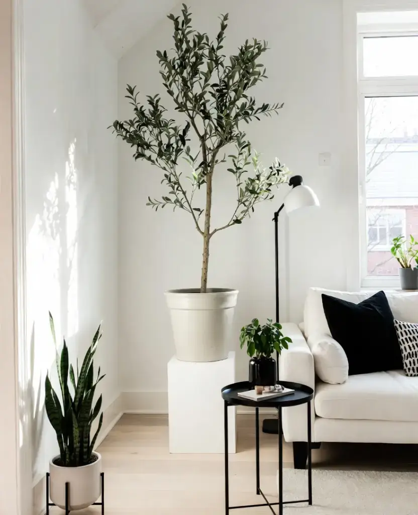 19 Living Rooms with Lush Greenery That Will Transform Your Home into a Tropical Paradise! 10 19 Living Rooms with Lush Greenery That Will Transform Your Home into a Tropical Paradise! / Minimal Greenery Look